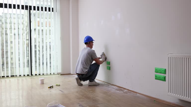 Best Black Mold Removal  in Bellevue, WA