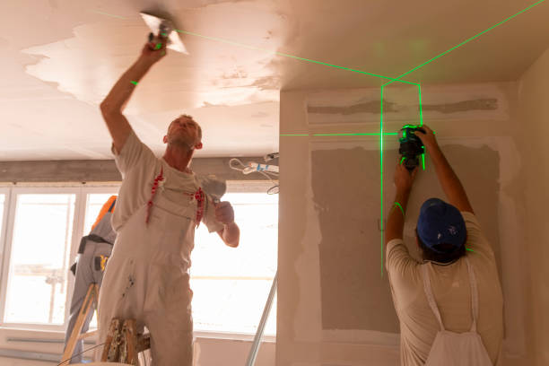 Best Basement Mold Removal  in Bellevue, WA