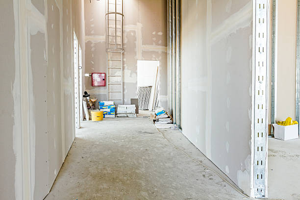 Best Commercial Mold Inspection  in Bellevue, WA